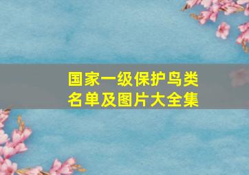 国家一级保护鸟类名单及图片大全集