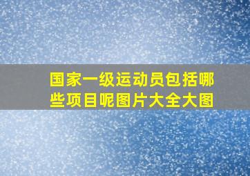 国家一级运动员包括哪些项目呢图片大全大图