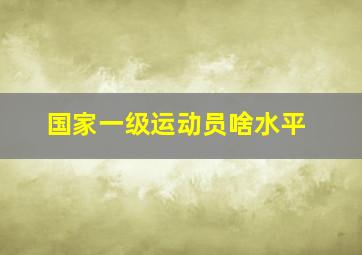 国家一级运动员啥水平