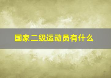 国家二级运动员有什么