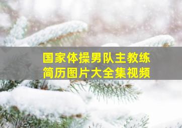 国家体操男队主教练简历图片大全集视频