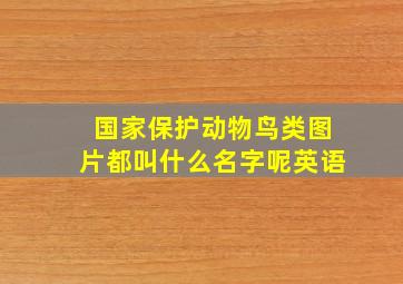 国家保护动物鸟类图片都叫什么名字呢英语