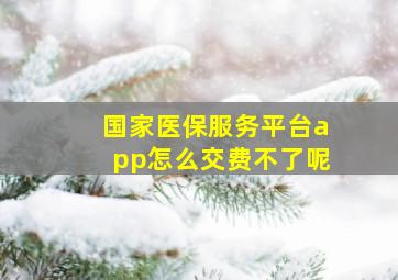 国家医保服务平台app怎么交费不了呢