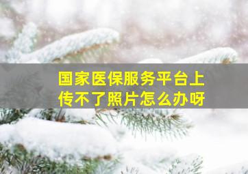 国家医保服务平台上传不了照片怎么办呀