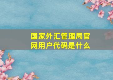 国家外汇管理局官网用户代码是什么