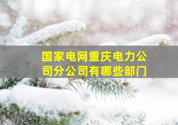 国家电网重庆电力公司分公司有哪些部门