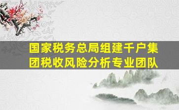 国家税务总局组建千户集团税收风险分析专业团队