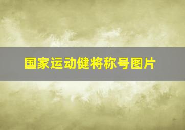 国家运动健将称号图片