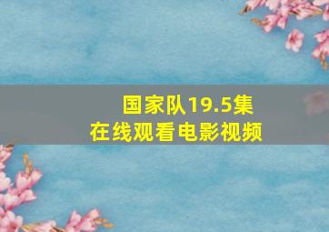 国家队19.5集在线观看电影视频