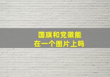 国旗和党徽能在一个图片上吗