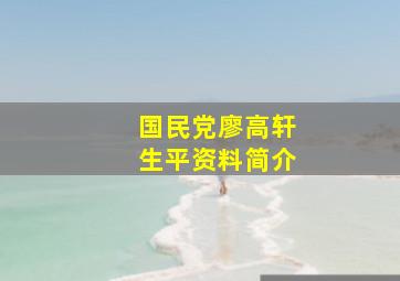 国民党廖高轩生平资料简介