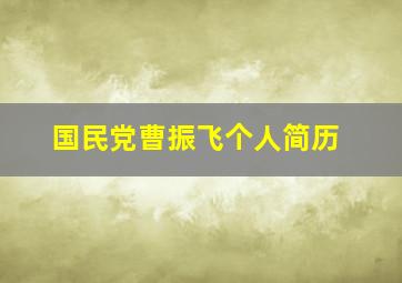 国民党曹振飞个人简历