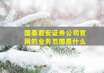 国泰君安证券公司官网的业务范围是什么