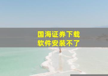 国海证券下载软件安装不了