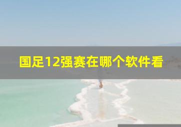 国足12强赛在哪个软件看