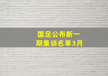 国足公布新一期集训名单3月