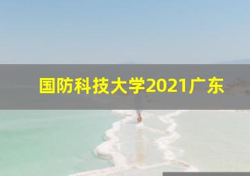 国防科技大学2021广东