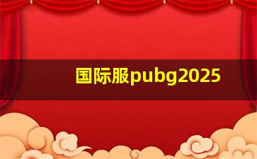 国际服pubg2025