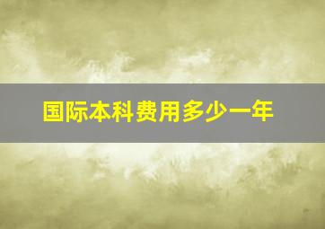 国际本科费用多少一年