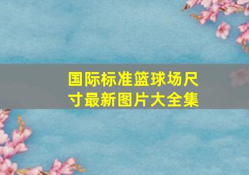 国际标准篮球场尺寸最新图片大全集