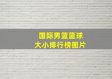 国际男篮篮球大小排行榜图片