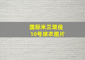 国际米兰现役10号球衣图片