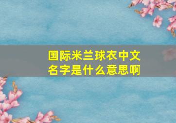 国际米兰球衣中文名字是什么意思啊