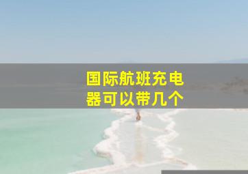 国际航班充电器可以带几个