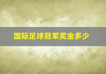 国际足球冠军奖金多少