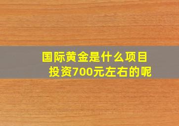 国际黄金是什么项目投资700元左右的呢