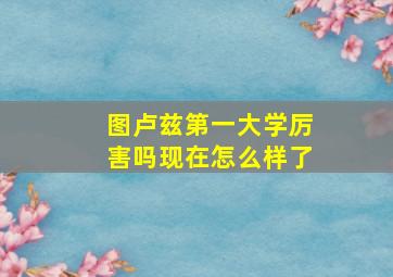 图卢兹第一大学厉害吗现在怎么样了