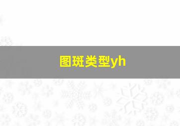 图斑类型yh