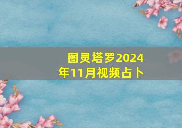 图灵塔罗2024年11月视频占卜