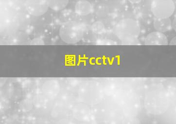 图片cctv1