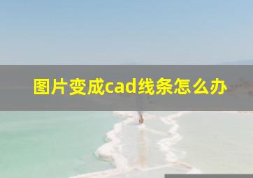 图片变成cad线条怎么办