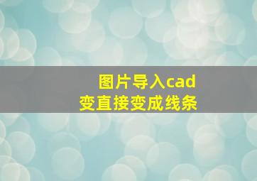 图片导入cad变直接变成线条