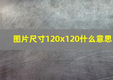 图片尺寸120x120什么意思