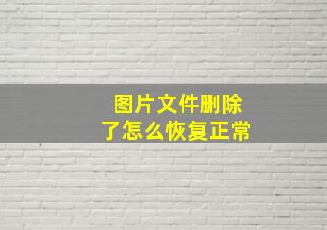 图片文件删除了怎么恢复正常