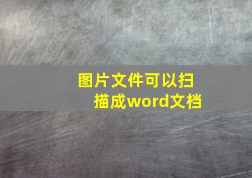 图片文件可以扫描成word文档