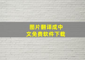 图片翻译成中文免费软件下载