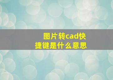 图片转cad快捷键是什么意思