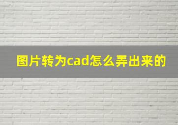 图片转为cad怎么弄出来的