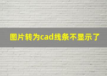 图片转为cad线条不显示了