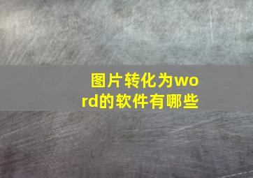 图片转化为word的软件有哪些