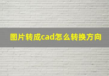 图片转成cad怎么转换方向