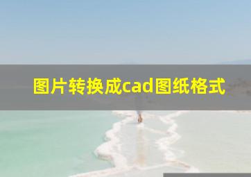 图片转换成cad图纸格式