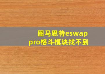 图马思特eswappro格斗模块找不到