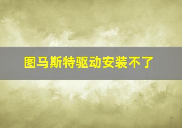 图马斯特驱动安装不了