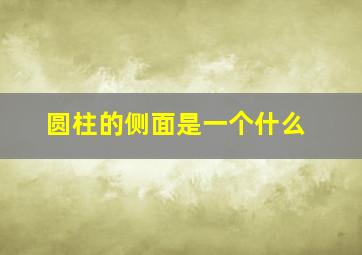 圆柱的侧面是一个什么