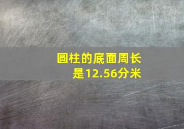 圆柱的底面周长是12.56分米